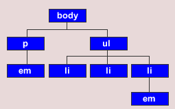 Document tree diagram showing universal selectors