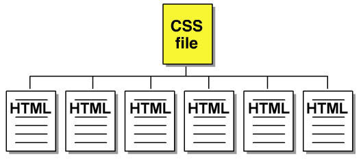 schéma montrant la présentation dans un fichier CSS, cette présentation est distribué à toutes les pages